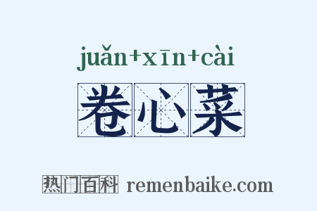 卷心菜是什么意思的图片